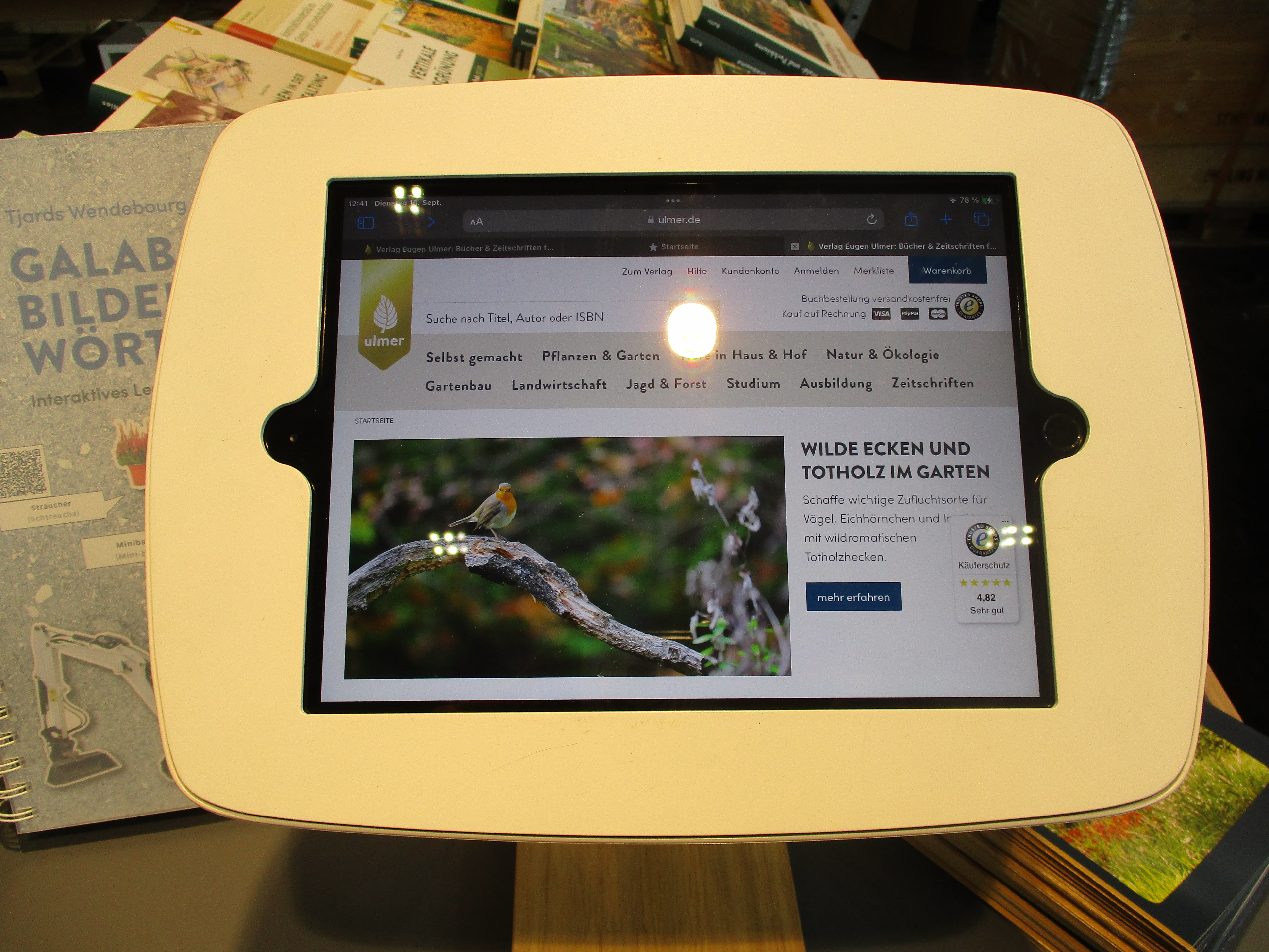 iPad